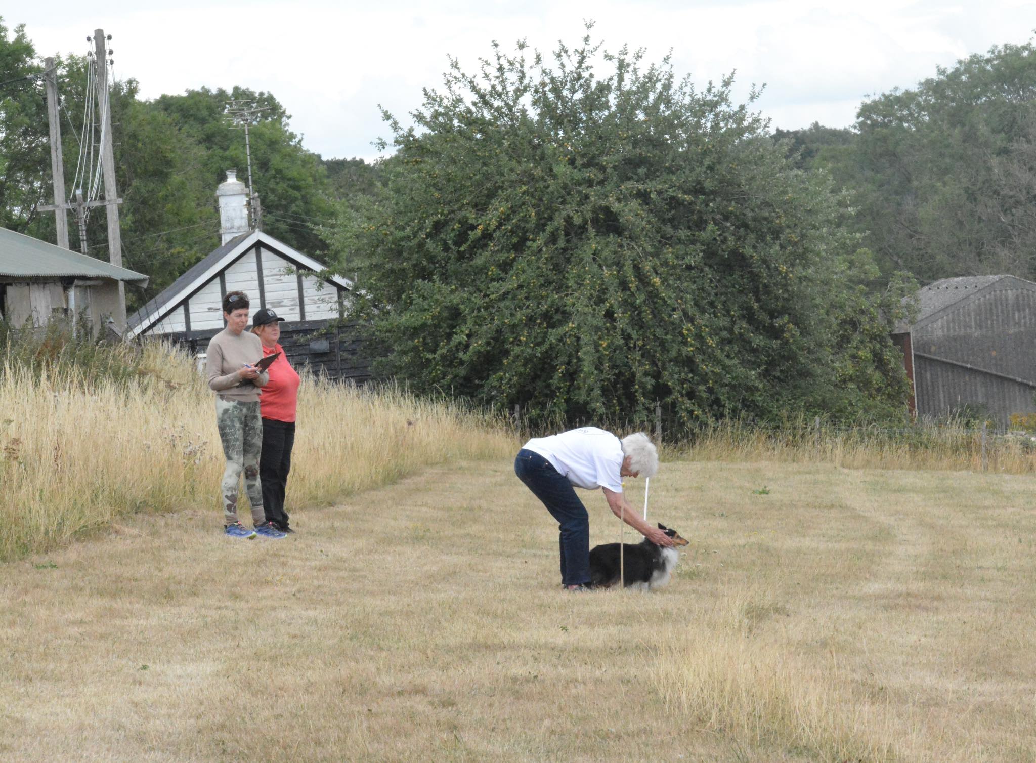 Handler and dog ready for Sendaway