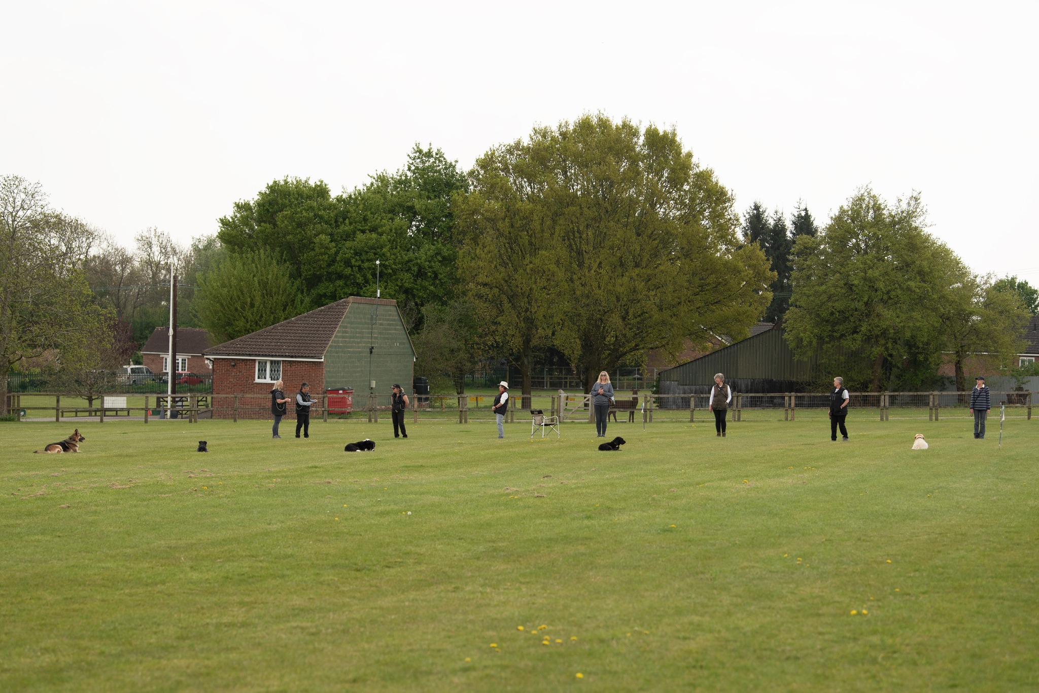 Competition down stay